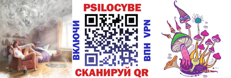 Псилоцибиновые грибы Psilocybe мориарти формула Конаково цены KRAKEN маркетплейс